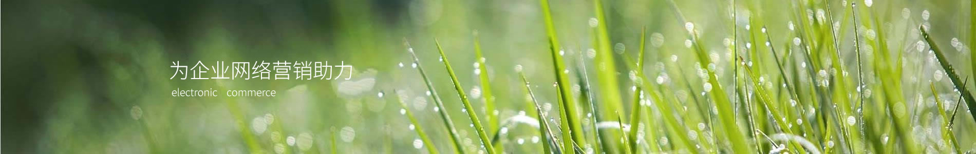 ӱܽƷ޹˾